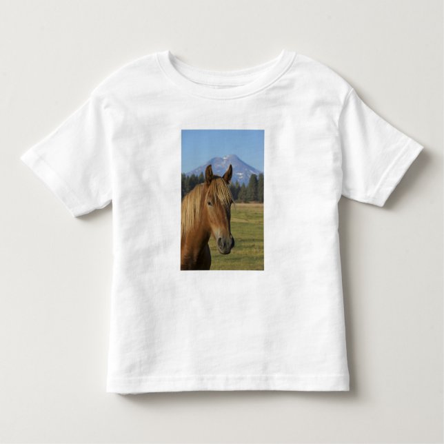 USA, Oregon, Sisters, View Three Sisters, Kleinkind T-shirt (Vorderseite)