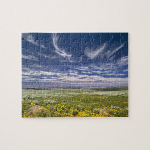 USA, Oregon, Steens Mountain. Frühjahrsbrüche Puzzle