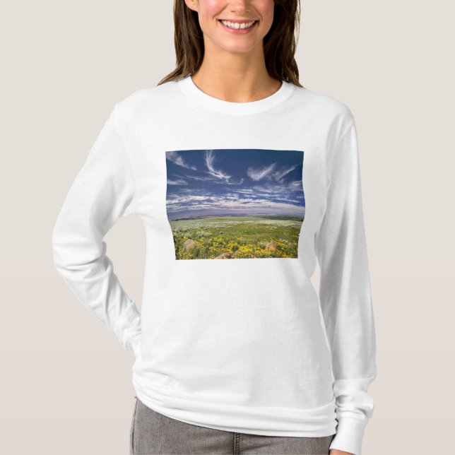 USA, Oregon, Steens Mountain. Frühjahrsbrüche T-Shirt (Vorderseite)