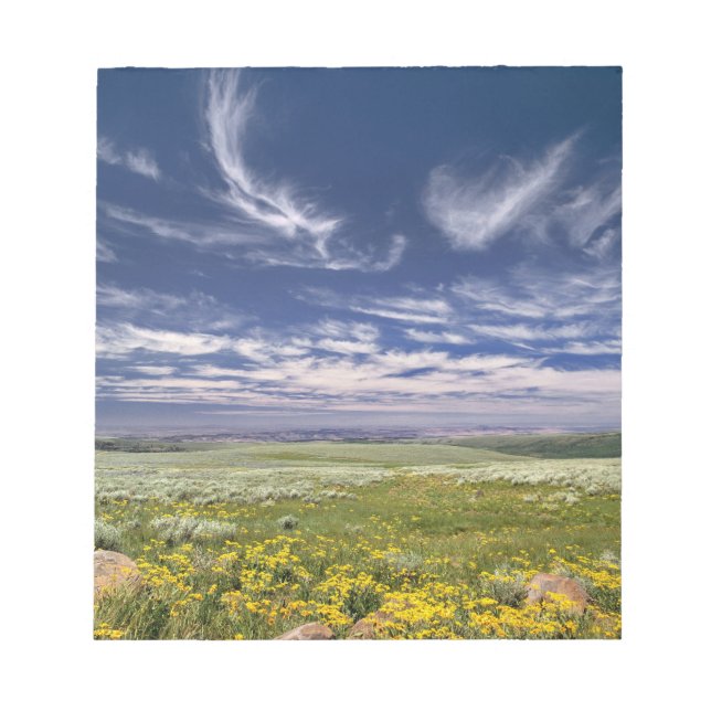USA, Oregon, Steens Mountain. Frühjahrsexplosionen Notizblock (Vorderseite)
