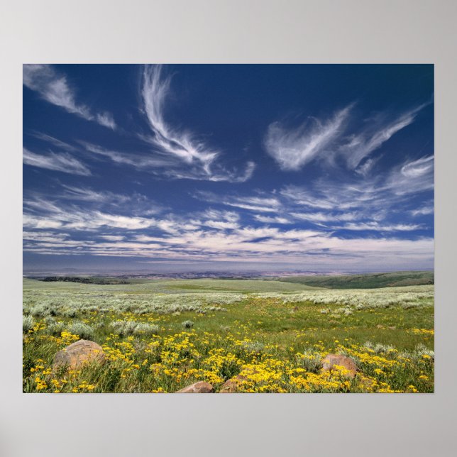 USA, Oregon, Steens Mountain. Frühjahrsexplosionen Poster (Vorne)