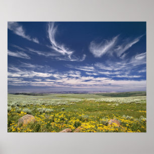 USA, Oregon, Steens Mountain. Frühling sprießt Poster