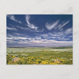 USA, Oregon, Steens Mountain. Frühling sprießt Postkarte