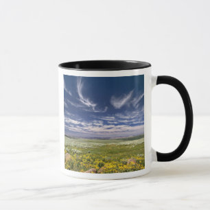 USA, Oregon, Steens Mountain. Frühling sprießt Tasse