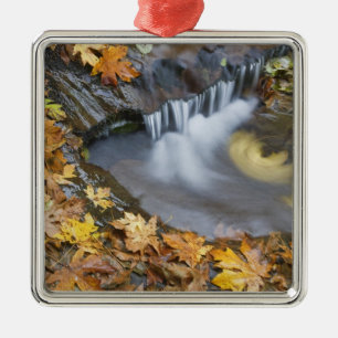 USA, Oregon, Sweet Creek. Blätter von gefallenen A Ornament Aus Metall