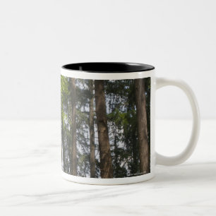 USA, Oregon, Tannenbaumwald Zweifarbige Tasse