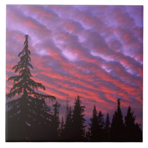 USA, Oregon, Three Sisters Wilderness, Lebendig Fliese