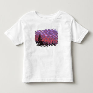 USA, Oregon, Three Sisters Wilderness, Lebendig Kleinkind T-shirt