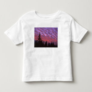 USA, Oregon, Three Sisters Wilderness, Lebendig Kleinkind T-shirt