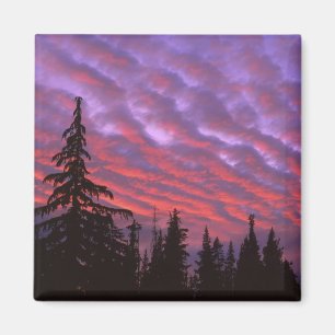 USA, Oregon, Three Sisters Wilderness, Lebendig Magnet