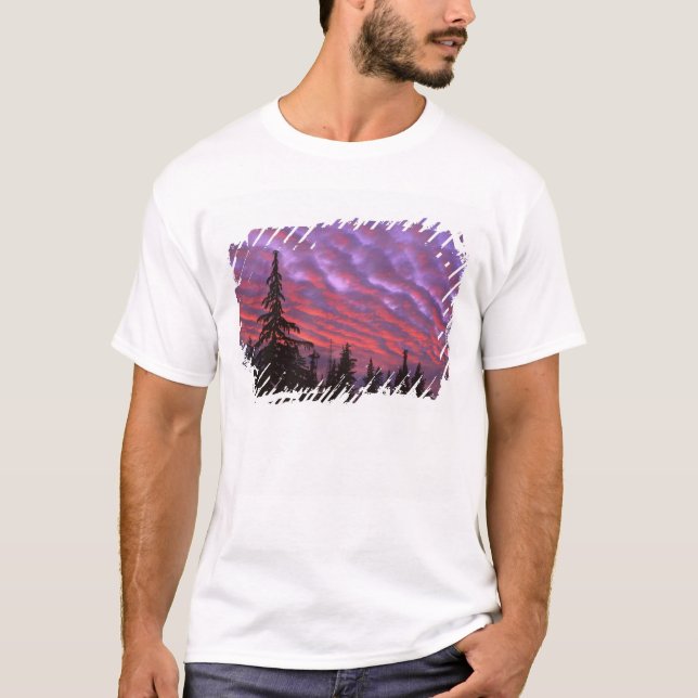 USA, Oregon, Three Sisters Wilderness, Vivid T-Shirt (Vorderseite)