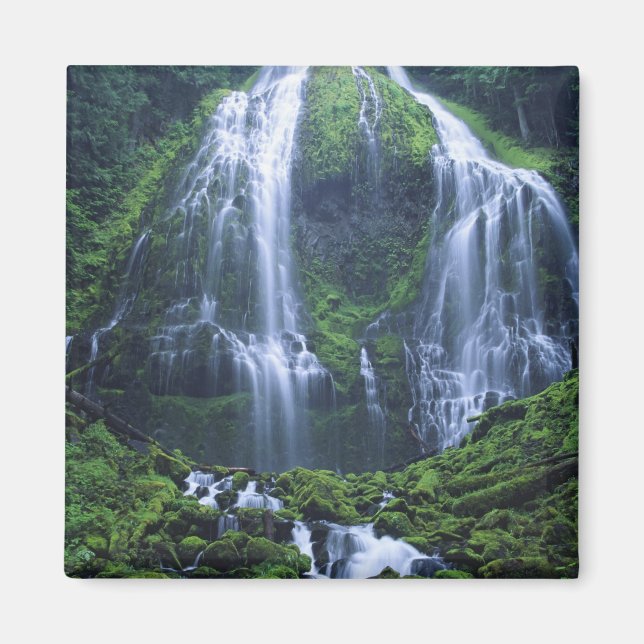 USA, Oregon, Willamette National Forest. Ansicht Magnet (Vorne)