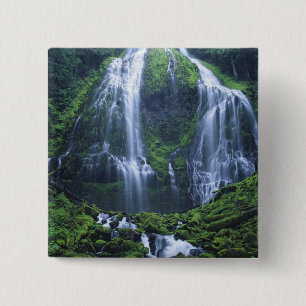 USA, Oregon, Willamette National Forest. Ansicht v Button