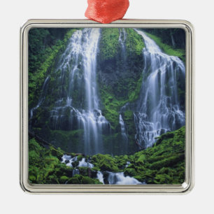 USA, Oregon, Willamette National Forest. Ansicht v Silbernes Ornament