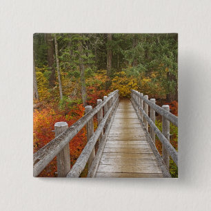 USA, Oregon, Willamette National Forest. Button