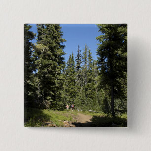 USA, Oregon, Willamette National Forest, Fall Button