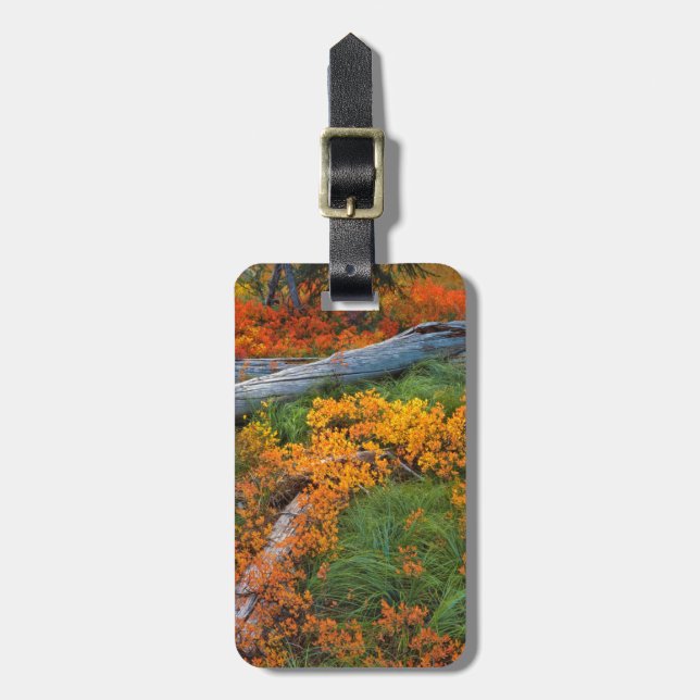 USA, Oregon, Willamette National Forest Gepäckanhänger (Vorderseite vertikal)