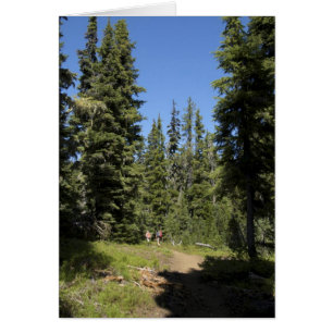 USA, Oregon, Willamette National Forest, Herbst