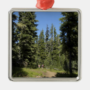 USA, Oregon, Willamette National Forest, Herbst Ornament Aus Metall