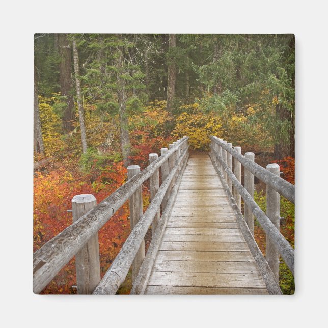 USA, Oregon, Willamette National Forest. Magnet (Vorne)