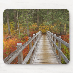 USA, Oregon, Willamette National Forest. Mousepad