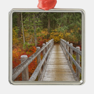 USA, Oregon, Willamette National Forest. Ornament Aus Metall