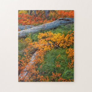USA, Oregon, Willamette National Forest Puzzle