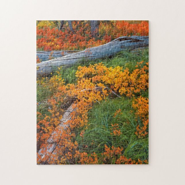 USA, Oregon, Willamette National Forest Puzzle (Vertikal)