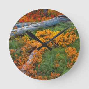 USA, Oregon, Willamette National Forest Runde Wanduhr