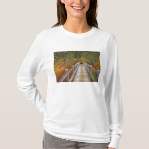USA, Oregon, Willamette National Forest. T-Shirt