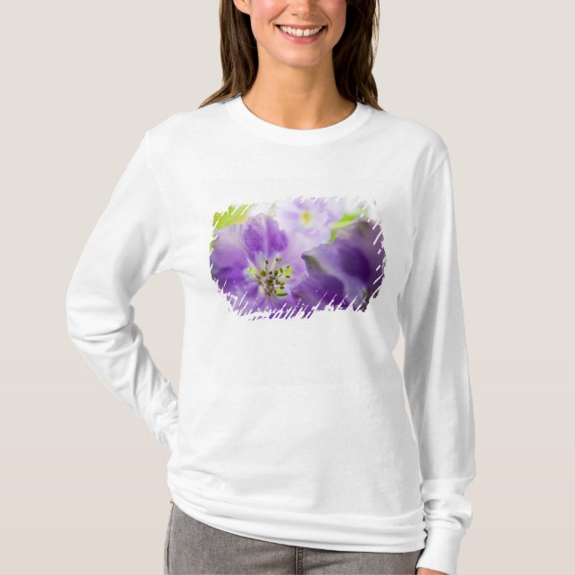 USA, Oregon, Willamette Valley, Larkspur Nah T-Shirt (Vorderseite)