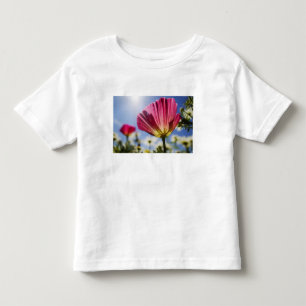 USA, Oregon, Willamette Valley, Nahaufnahme von Kleinkind T-shirt
