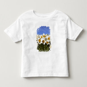 USA, Oregon, Willamette Valley. Narzissen wachsen Kleinkind T-shirt