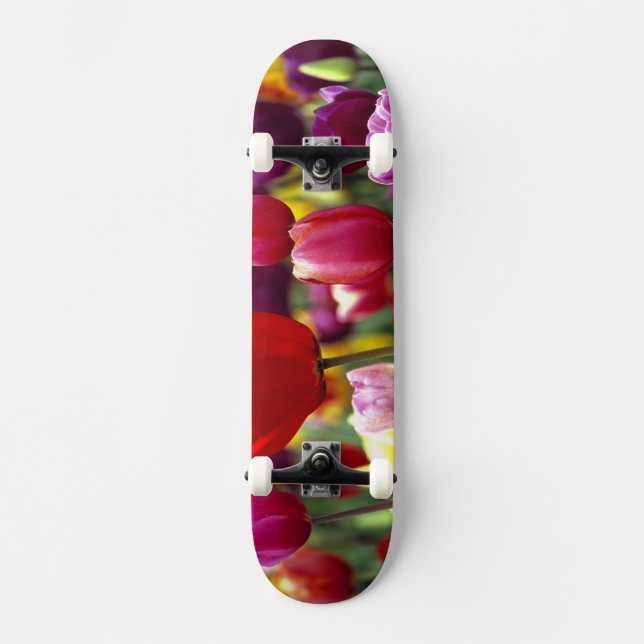 USA, Oregon, Willamette Valley.Schöne Skateboard (Vorderseite)