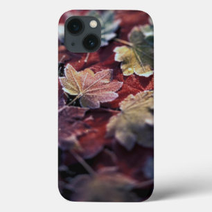 USA, Pacific Northwest. Japanese Case-Mate iPhone Hülle