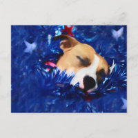 USA Patriotic Dog American Pit Bull Terrier