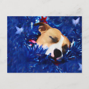 USA Patriotic Dog American Pit Bull Terrier Postkarte