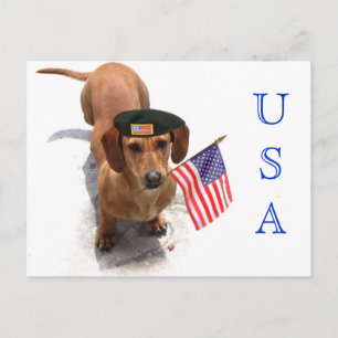 USA Patriotische Dackel Postkarte
