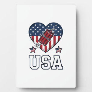 USA Patriotisches Feuerwerk Herz Vintage Vektor Sh Fotoplatte