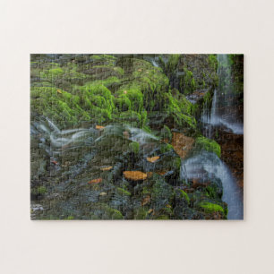 USA, Pennsylvania, Benton, Ricketts Glen Staat Puzzle