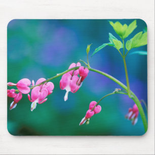 USA, Pennsylvania. Blutherz-Blumen Mousepad