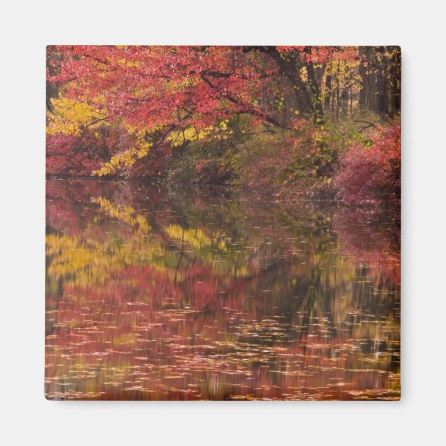 USA, Pennsylvania, Delaware Water Gap National Magnet (Vorne)