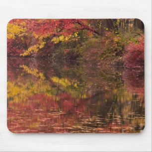 USA, Pennsylvania, Delaware Water Gap National Mousepad