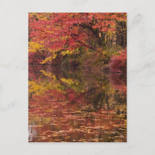 USA, Pennsylvania, Delaware Water Gap National Postkarte