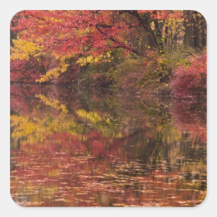 USA, Pennsylvania, Delaware Water Gap National Quadratischer Aufkleber