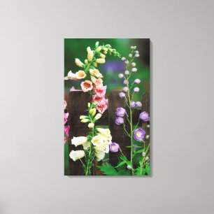 USA, Pennsylvania. Foxglove und Delphinium Leinwanddruck