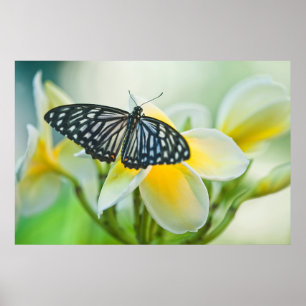 USA, Pennsylvania. Frack Schmetterling Poster