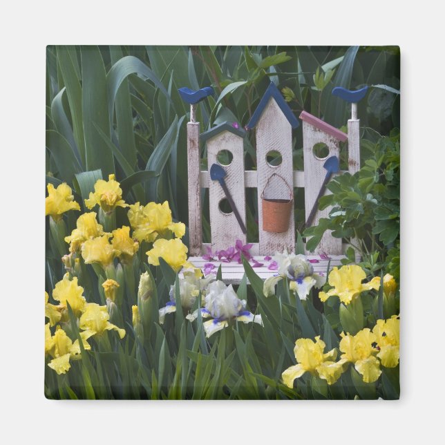 USA, Pennsylvania. Garteneis wachsen um Magnet (Vorne)