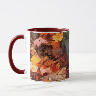 USA, Pennsylvania. Nahaufnahme des Waldbodens Tasse