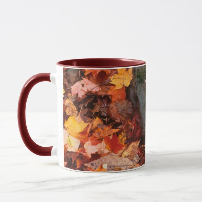 USA, Pennsylvania. Nahe Nutzung von Waldflächen Tasse (Links)